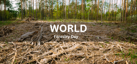 World Forestry Day [विश्व वानिकी दिवस]